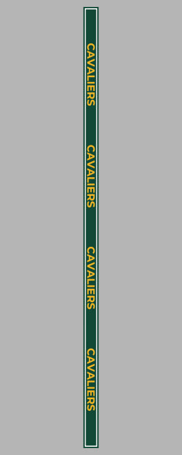 Cavalier Beaded Purse Strap